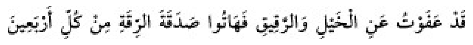 Texto árabe del hadiz de Sunan Abu Dawud