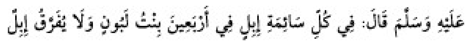 Texto árabe del hadiz de Sunan Abu Dawud