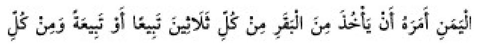 Texto árabe del hadiz de Sunan Abu Dawud