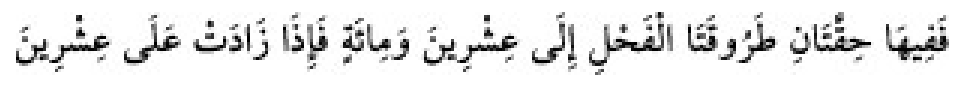 Texto árabe del hadiz de Sunan Abu Dawud