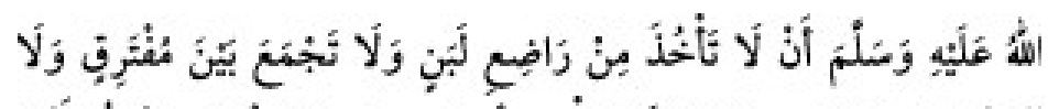 Texto árabe del hadiz de Sunan Abu Dawud