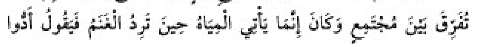 Texto árabe del hadiz de Sunan Abu Dawud