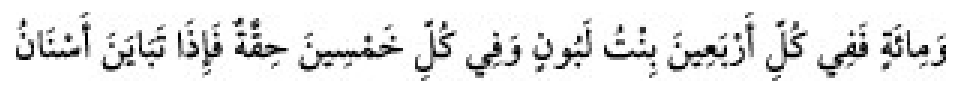 Texto árabe del hadiz de Sunan Abu Dawud