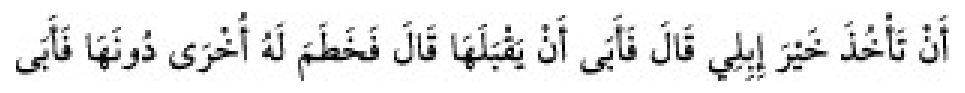 Texto árabe del hadiz de Sunan Abu Dawud