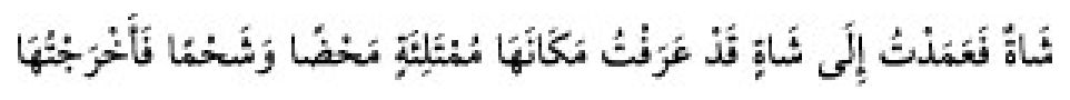 Texto árabe del hadiz de Sunan Abu Dawud