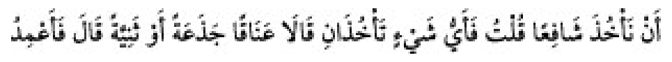 Texto árabe del hadiz de Sunan Abu Dawud