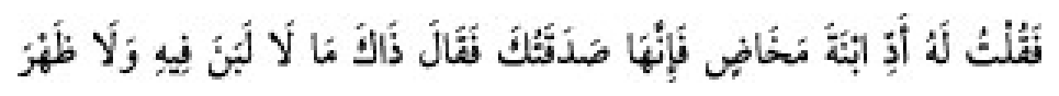 Texto árabe del hadiz de Sunan Abu Dawud
