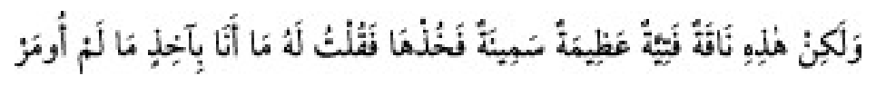 Texto árabe del hadiz de Sunan Abu Dawud
