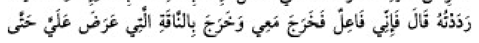 Texto árabe del hadiz de Sunan Abu Dawud