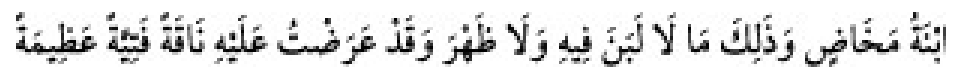 Texto árabe del hadiz de Sunan Abu Dawud