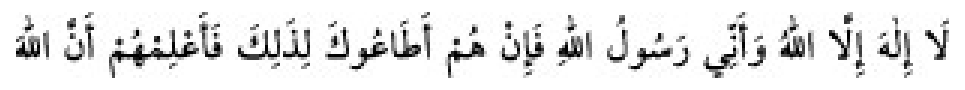 Texto árabe del hadiz de Sunan Abu Dawud