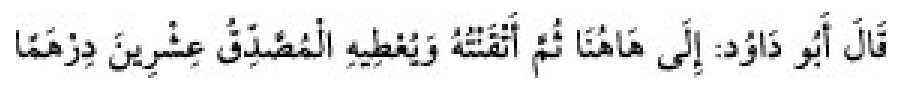 Texto árabe del hadiz de Sunan Abu Dawud
