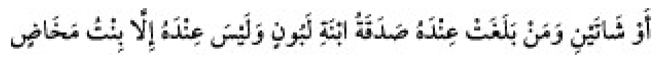Texto árabe del hadiz de Sunan Abu Dawud