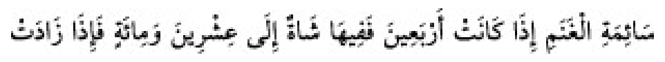 Texto árabe del hadiz de Sunan Abu Dawud