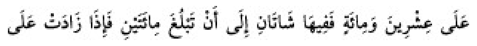 Texto árabe del hadiz de Sunan Abu Dawud