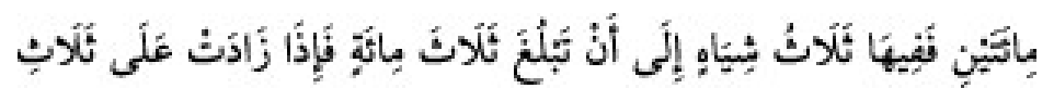 Texto árabe del hadiz de Sunan Abu Dawud