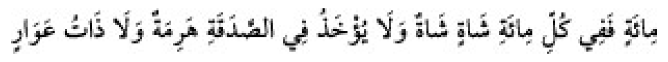 Texto árabe del hadiz de Sunan Abu Dawud