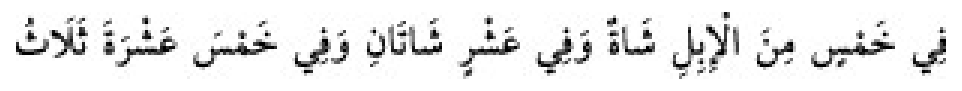 Texto árabe del hadiz de Sunan Abu Dawud