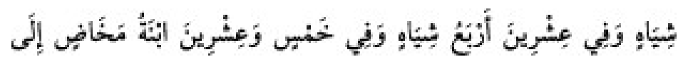 Texto árabe del hadiz de Sunan Abu Dawud