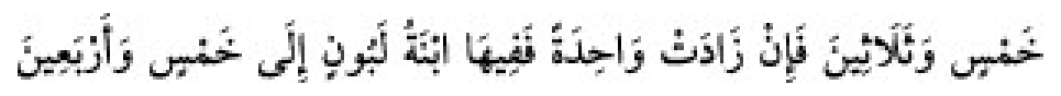 Texto árabe del hadiz de Sunan Abu Dawud