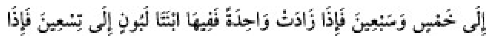 Texto árabe del hadiz de Sunan Abu Dawud