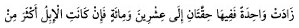Texto árabe del hadiz de Sunan Abu Dawud