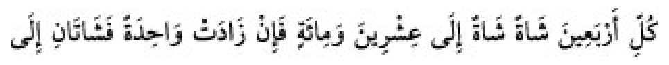 Texto árabe del hadiz de Sunan Abu Dawud