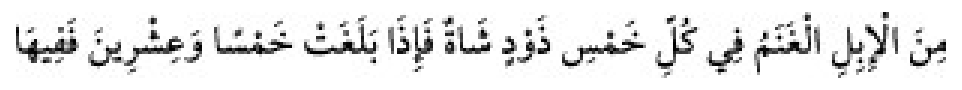 Texto árabe del hadiz de Sunan Abu Dawud