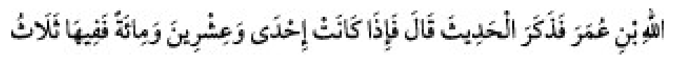 Texto árabe del hadiz de Sunan Abu Dawud