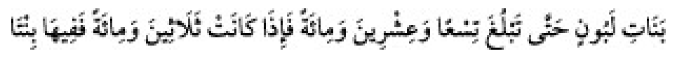 Texto árabe del hadiz de Sunan Abu Dawud