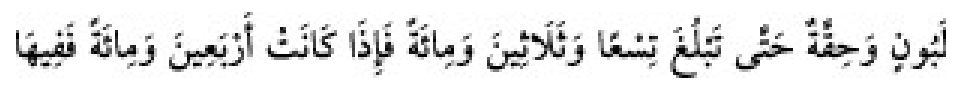 Texto árabe del hadiz de Sunan Abu Dawud