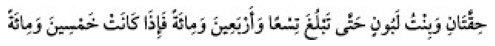 Texto árabe del hadiz de Sunan Abu Dawud