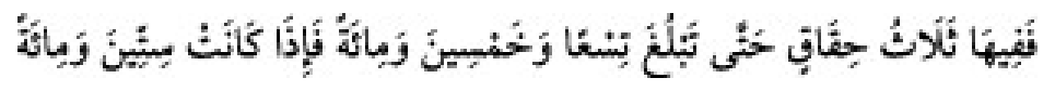 Texto árabe del hadiz de Sunan Abu Dawud