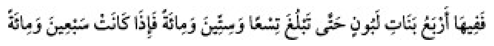 Texto árabe del hadiz de Sunan Abu Dawud