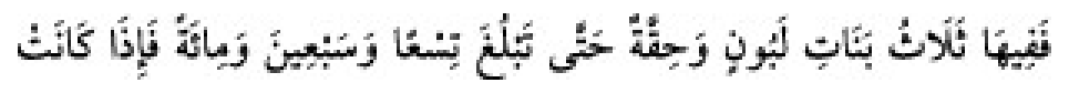 Texto árabe del hadiz de Sunan Abu Dawud
