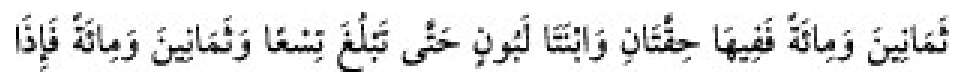 Texto árabe del hadiz de Sunan Abu Dawud