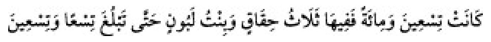 Texto árabe del hadiz de Sunan Abu Dawud