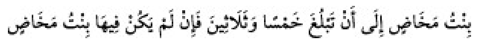 Texto árabe del hadiz de Sunan Abu Dawud