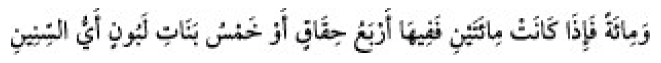 Texto árabe del hadiz de Sunan Abu Dawud