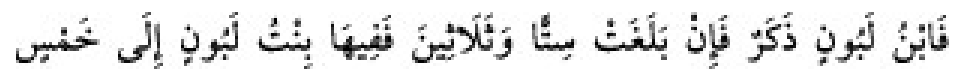 Texto árabe del hadiz de Sunan Abu Dawud