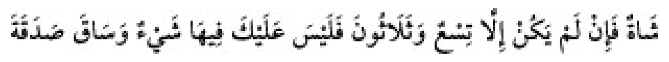 Texto árabe del hadiz de Sunan Abu Dawud