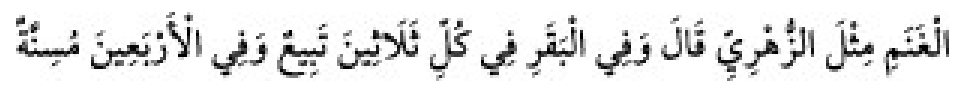 Texto árabe del hadiz de Sunan Abu Dawud