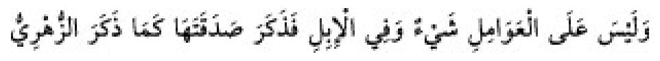 Texto árabe del hadiz de Sunan Abu Dawud