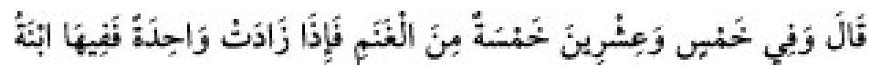 Texto árabe del hadiz de Sunan Abu Dawud