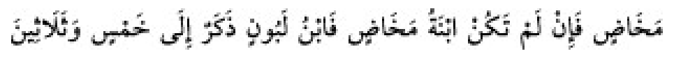 Texto árabe del hadiz de Sunan Abu Dawud