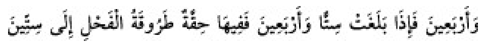 Texto árabe del hadiz de Sunan Abu Dawud