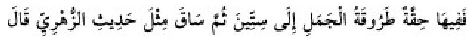 Texto árabe del hadiz de Sunan Abu Dawud