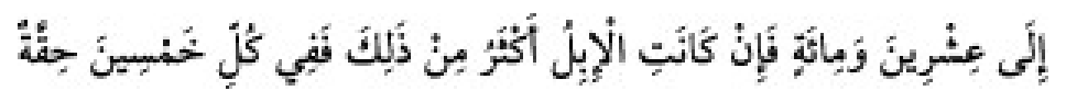 Texto árabe del hadiz de Sunan Abu Dawud