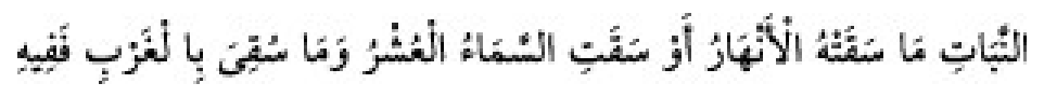 Texto árabe del hadiz de Sunan Abu Dawud