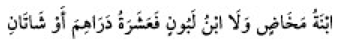Texto árabe del hadiz de Sunan Abu Dawud